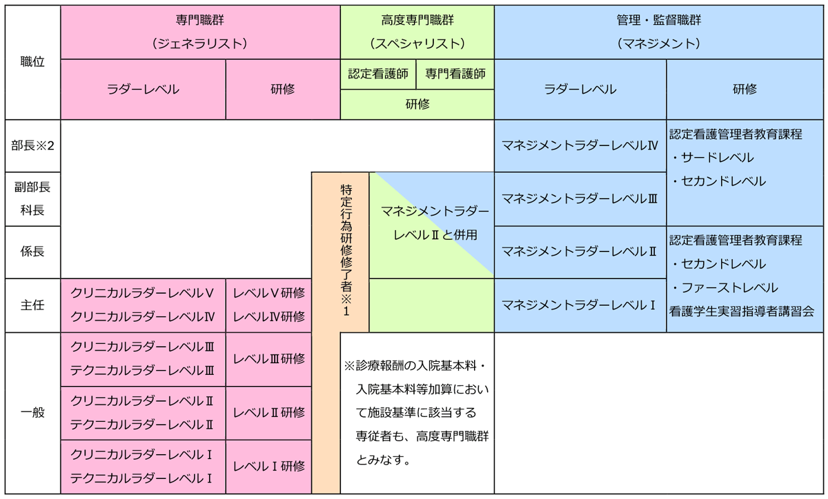 AMG看護スタッフのキャリア開発の考え方